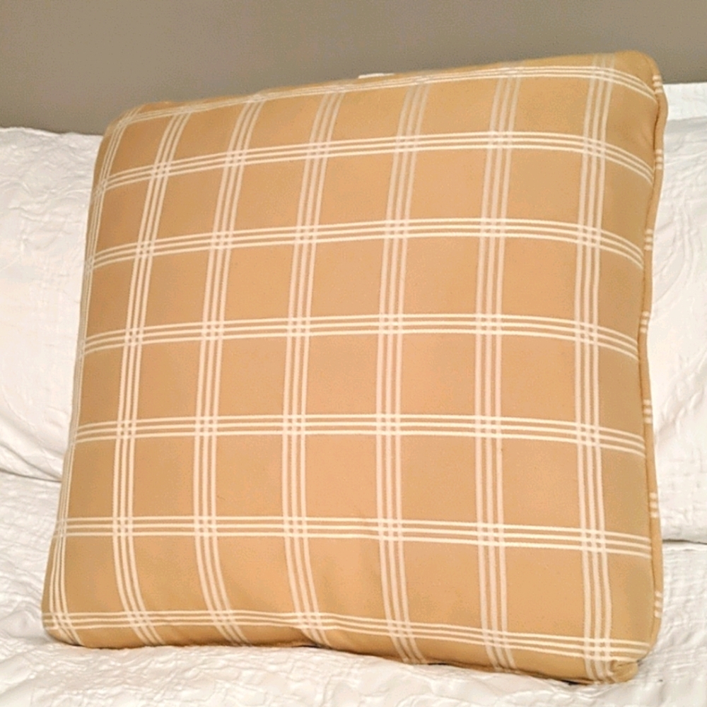 Gold /white pillow cover